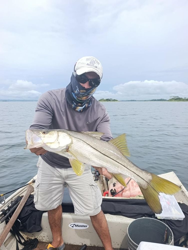Snook · jungle creek