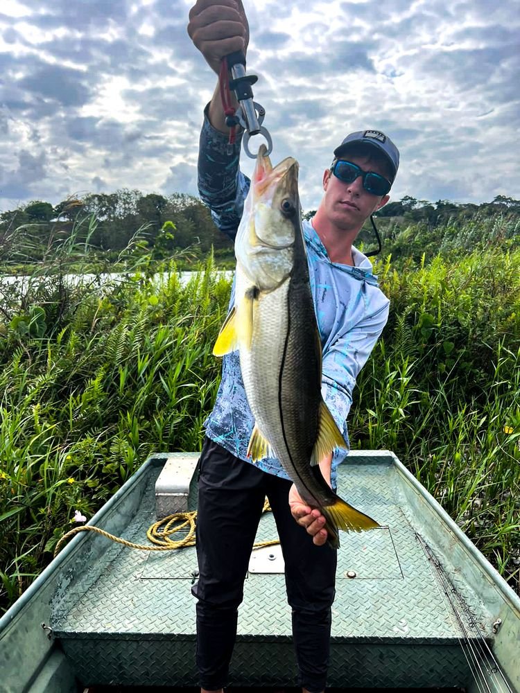 Snook in the jungle channels