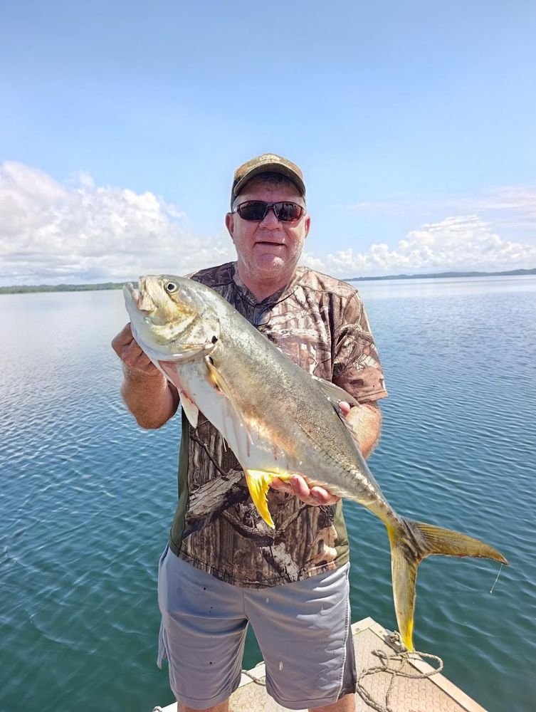 On stickbait
