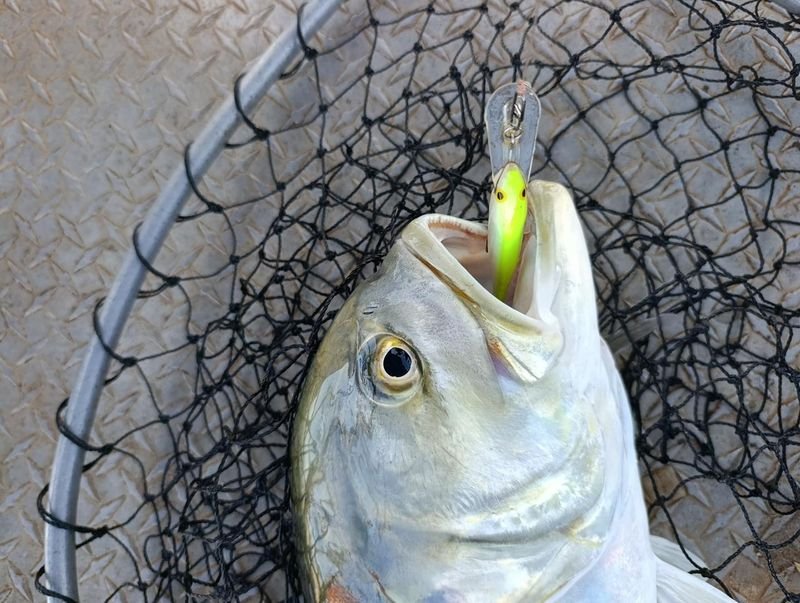 Happy anglers
