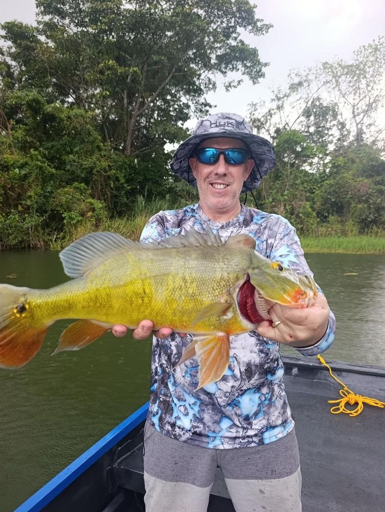 Peacock bass at dusk
