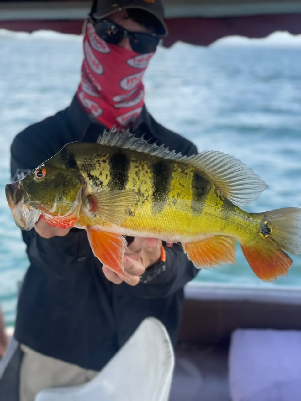 Woman angler with snook on Gatun Lake fishing charter