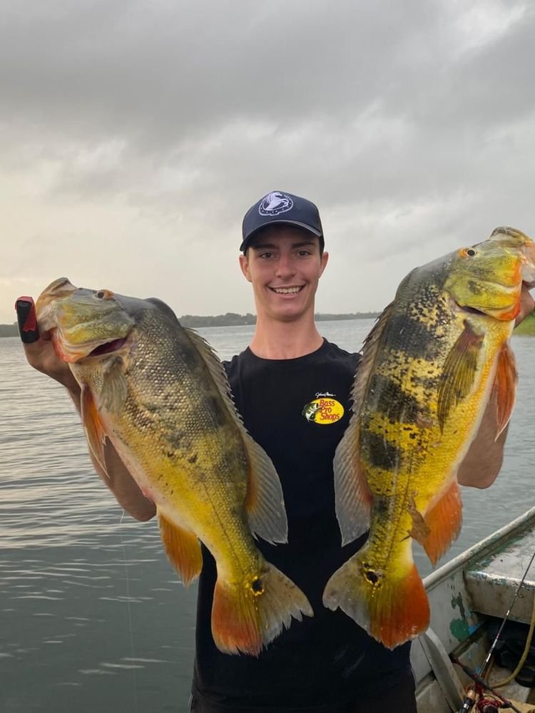 Peacock bass · Gatun Lake