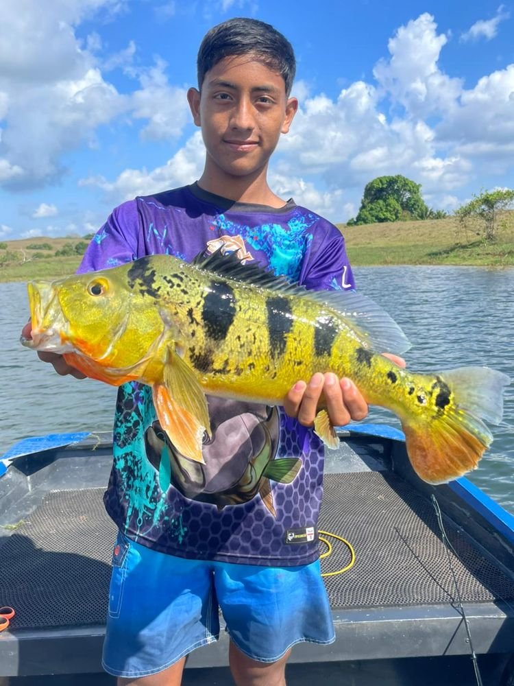 Jack crevalle held boatside near the Panama Canal