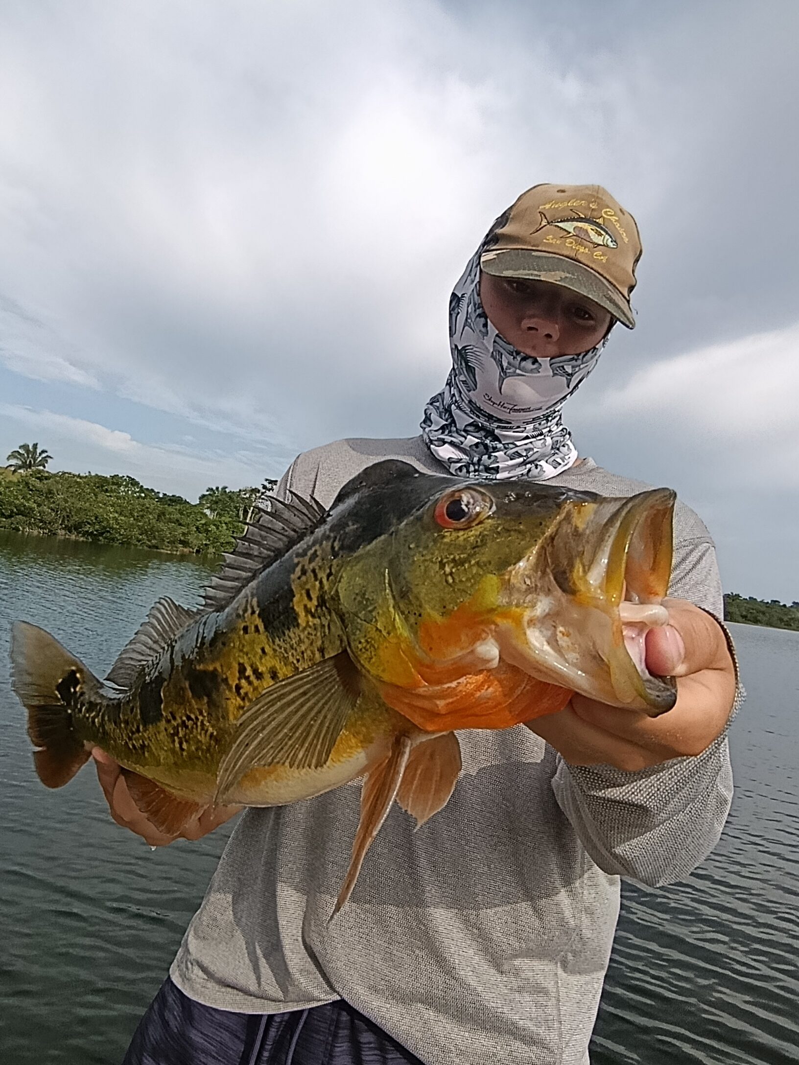 huge peacock bass on gatun lake